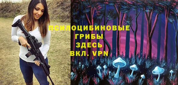 спайс Арсеньев