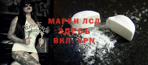 спайс Арсеньев