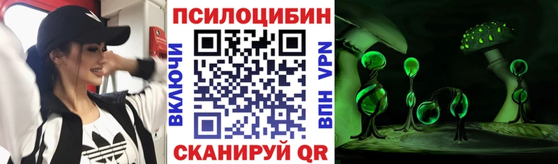 Галлюциногенные грибы Psilocybine cubensis  закладка  Льгов 